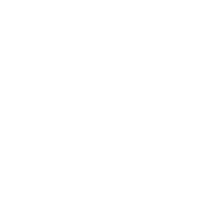 logotip-bel-brez-teksta